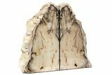 Tall, Petrified Wood Bookends - Washington #231793-1